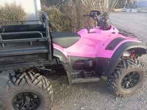 TGB Blade 600AR EPS Pink Lady